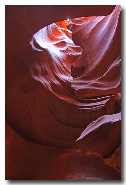 Antelope11.jpg