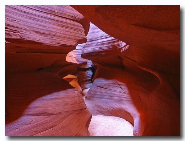 Antelope15.jpg
