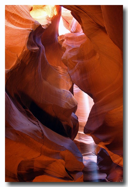 Antelope17.jpg
