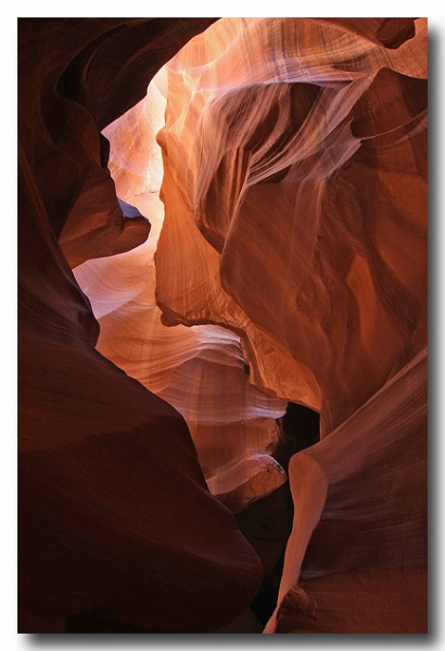 Antelope24.jpg