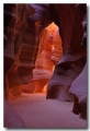 Antelope12