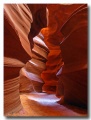 Antelope14