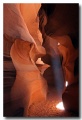 Antelope2
