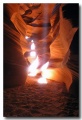 Antelope20