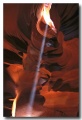 Antelope21