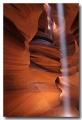 Antelope22