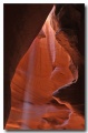 Antelope23