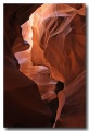 Antelope24