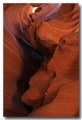 Antelope27
