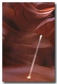 Antelope6