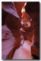Antelope9