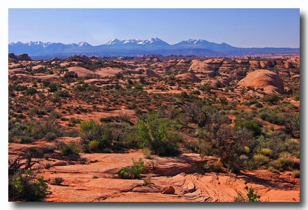 Arches_09.jpg