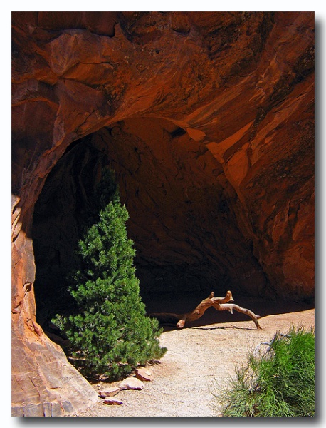 Arches_41.jpg