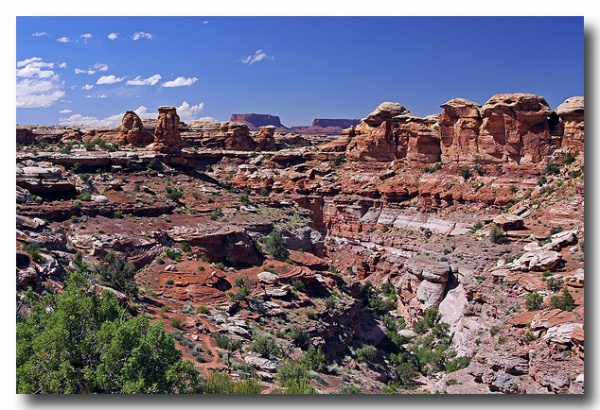 Canyonlands_72.jpg