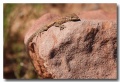 Canyonlands_48