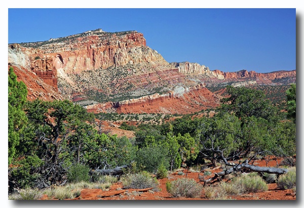 Capitol_Reef_19.jpg