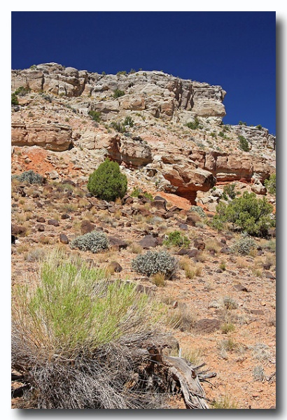Capitol_Reef_45.jpg