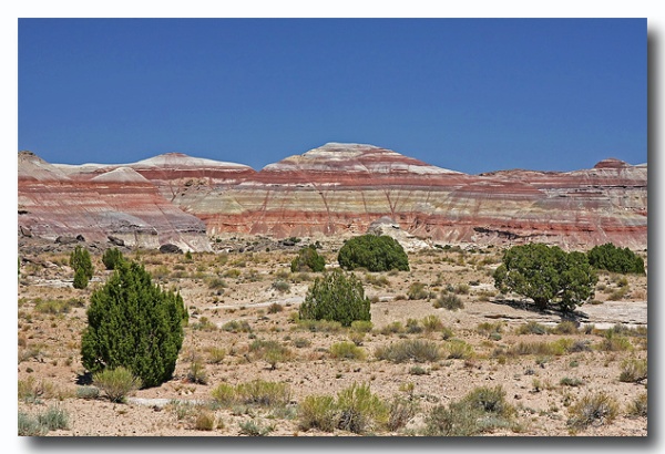 Capitol_Reef_67.jpg