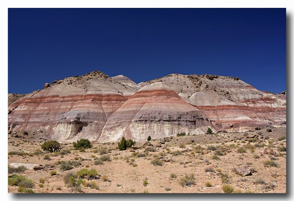 Capitol_Reef_69.jpg