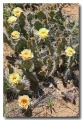 Colorado_NM_20