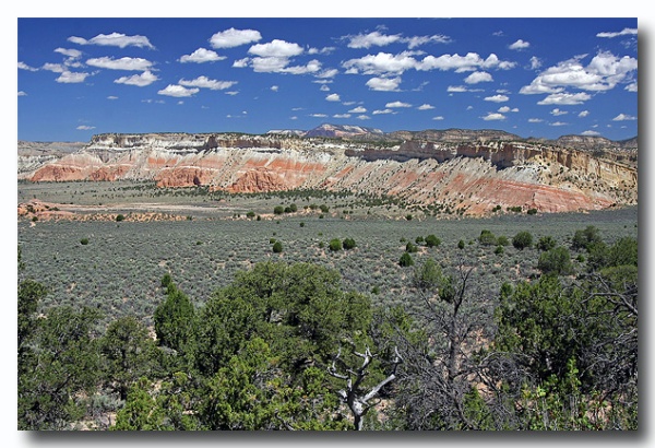 Cottonwood_02.jpg