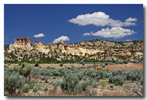Cottonwood_04.jpg