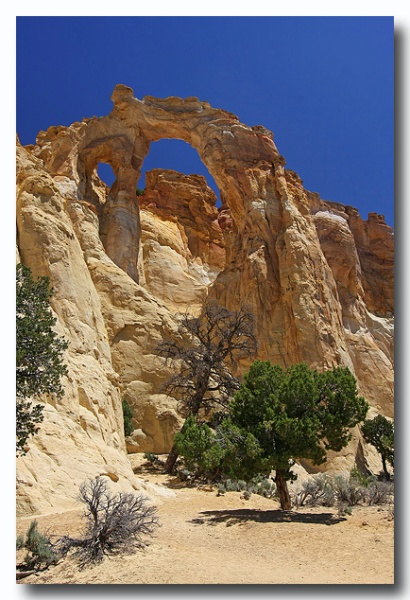 Cottonwood_06.jpg