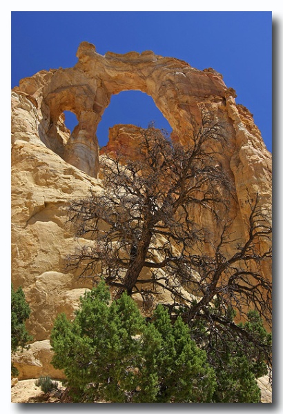 Cottonwood_07.jpg