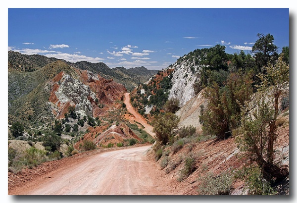 Cottonwood_13.jpg