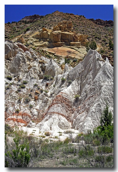 Cottonwood_15.jpg