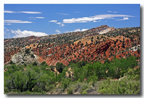 Cottonwood_17.jpg