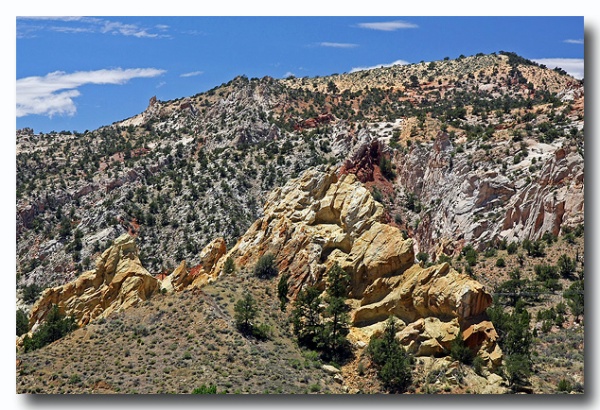 Cottonwood_18.jpg