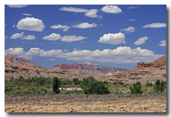 Cottonwood_20.jpg