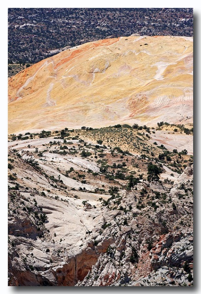 Cottonwood_24.jpg