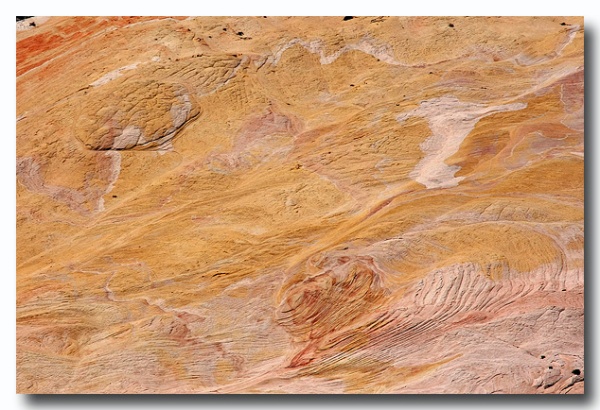 Cottonwood_25.jpg