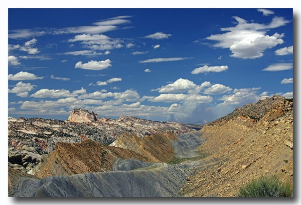 Cottonwood_29.jpg