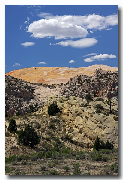 Cottonwood_31.jpg