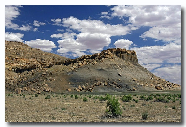 Cottonwood_32.jpg