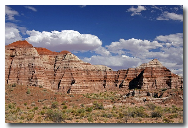 Cottonwood_36.jpg