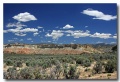 Cottonwood_01