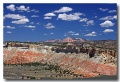 Cottonwood_03