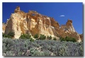 Cottonwood_05