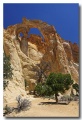 Cottonwood_06
