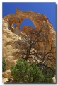 Cottonwood_07