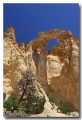 Cottonwood_08