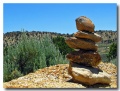 Cottonwood_10