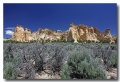 Cottonwood_11