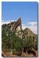 Cottonwood_12