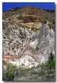 Cottonwood_15
