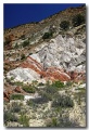Cottonwood_16